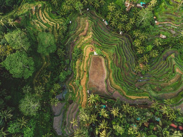 Où trouver les meilleures plages pour pratiquer le yoga au lever du soleil à Bali, Indonésie?